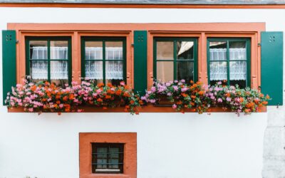 Sun Damage and Windows: What Homeowners Need to Know